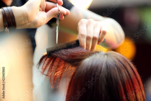 Hairdresser cuts the hair of the client with scissors in the hairdressing salon