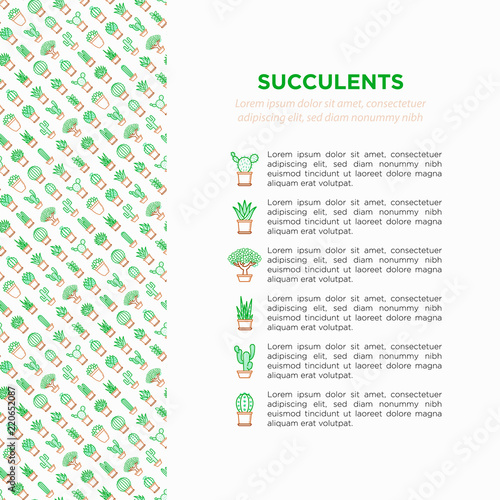 Cactus and succelents in pots concept with thin line icons for banner, print media. Modern vector illustration, web page template for shop of plants. photo