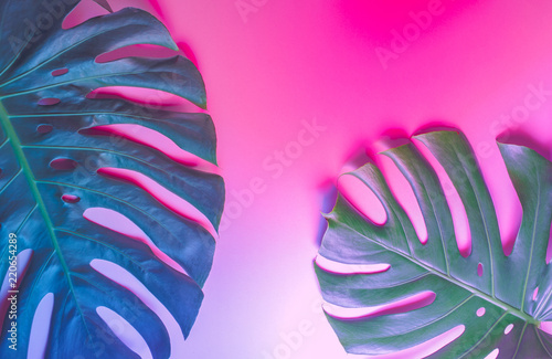 Tropical palm leaf on paste...