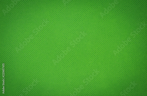 Green texture background from detail of leather.