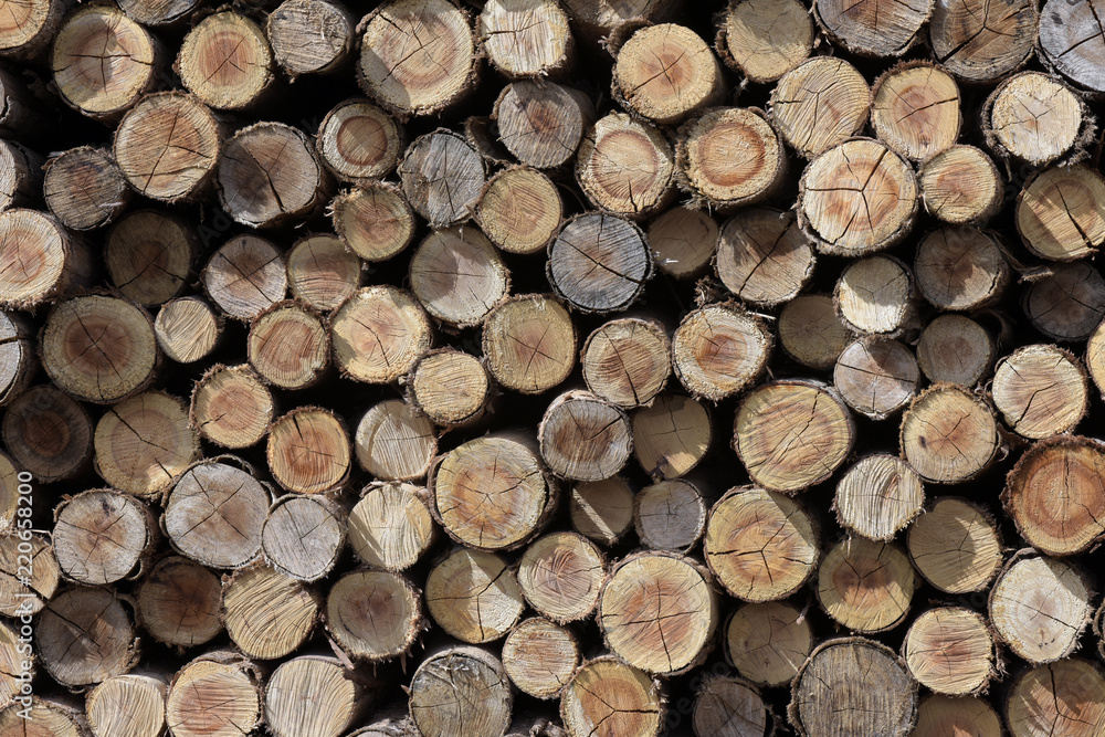 Pile of wood for the supply of firewood Pile of wood for the supply of firewood