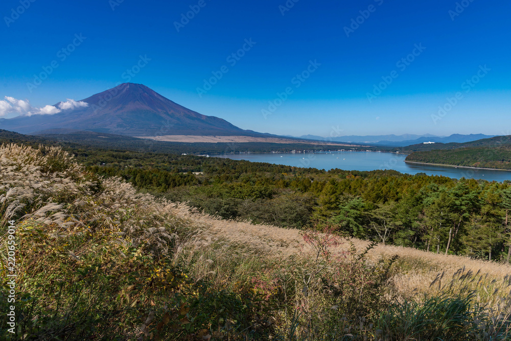 Mountain Fuji without snow cover its peak from a viewpoint around Wanakako lake in a morning with brown grass in foreground and blue sky in background.