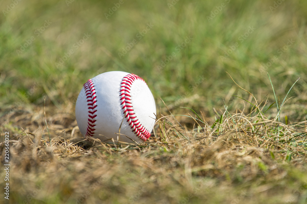A white baseball on the  green grass
