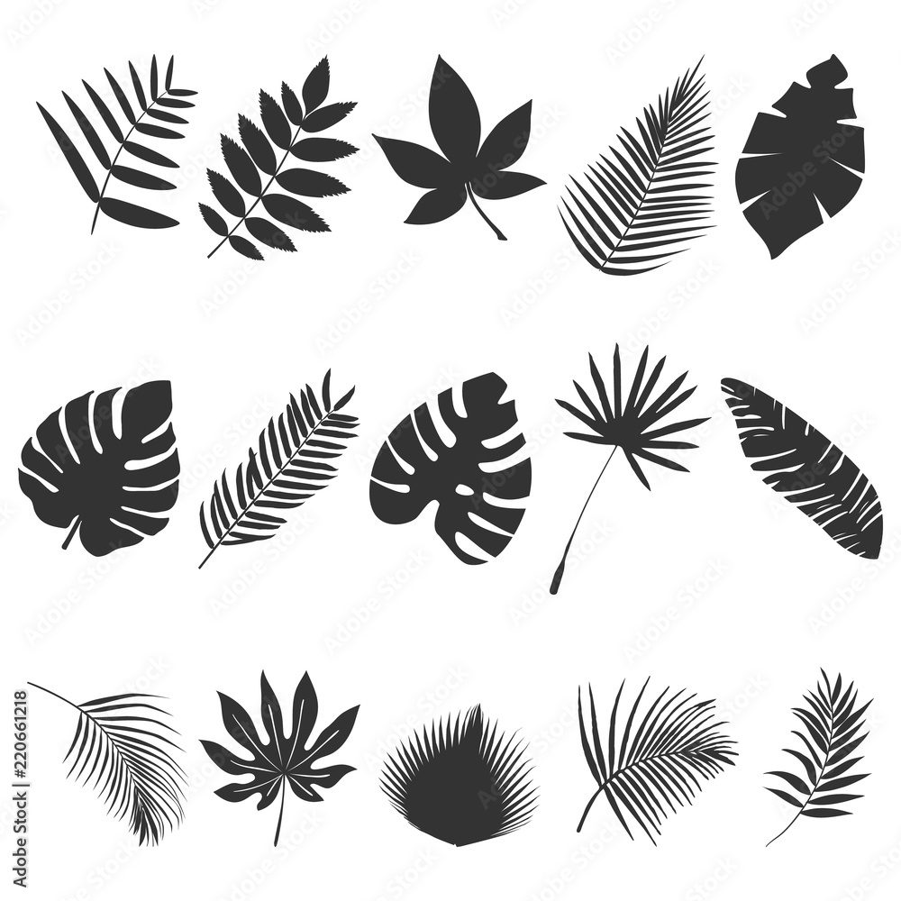 Set of leaves Set of leaves