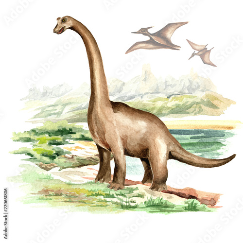 Brachiosaurus dinosaur in prehistorical landscape. Watercolor hand drawn illustration, isolated on white background © dariaustiugova