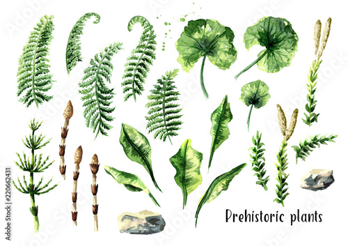 Papier peint Prehistoric plants set