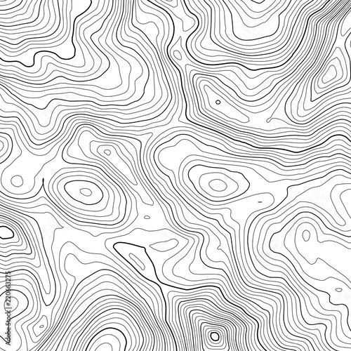 Vector contour topographic map background. Topography and geography map grid abstract backdrop. Business concept. Vector illustration