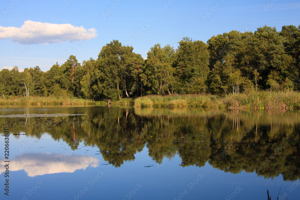 Fototapeta premium Oberer See im Wurzacher Ried mit Wolkenspiegelung