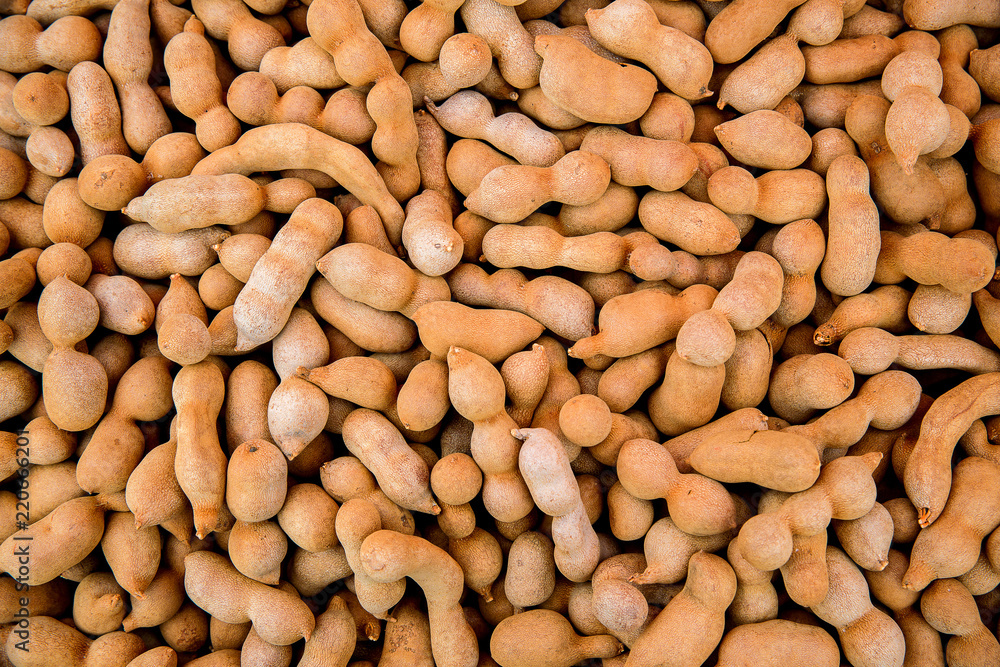 Pile of ripe Tamarind fruits.Sweet ripe tamarinds. Tamarind fruit Background. A big pile of tamarinds use for background or wallpaper. Pile of ripe Tamarind fruits.Sweet ripe tamarinds. Tamarind fruit Background. A big pile of tamarinds use for background or wallpaper.
