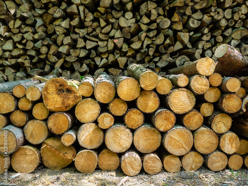 Full frame shot of firewood and piled tree trunks