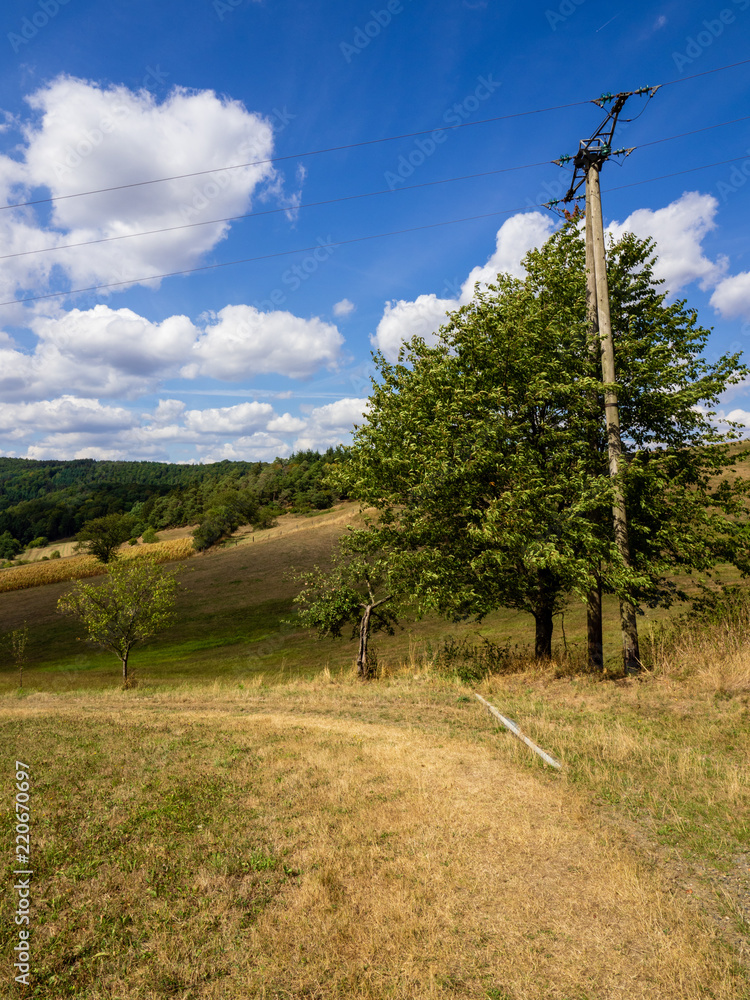 Tree Pylon Tree and electricity pylon in the countryside Stock Photo | Adobe Stock
