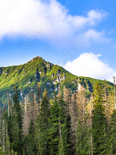 Fototapeta Naklejka Na Ścianę i Meble -  Polish Tatra mountains summer landscape with blue sky and white clouds. Panoramic HDR montage