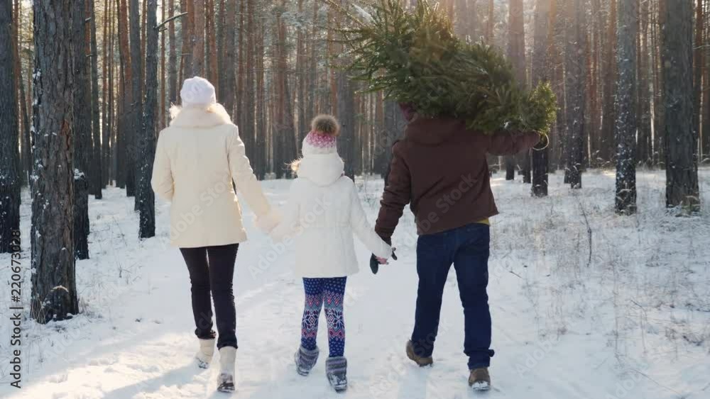 A happy family with a child is walking along a snow-covered forest, the father is carrying a Christmas tree. Christmas Eve and New Year's Eve. Rear view A happy family with a child is walking along a snow-covered forest, the father is carrying a Christmas tree. Christmas Eve and New Year's Eve. Rear view