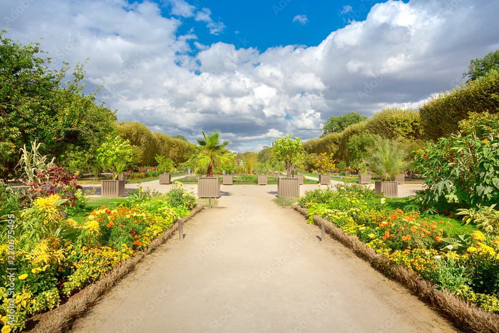 Garden Garden