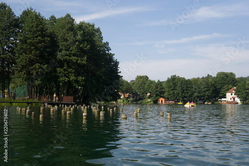 On the lake in the summer in Lagow in Poland