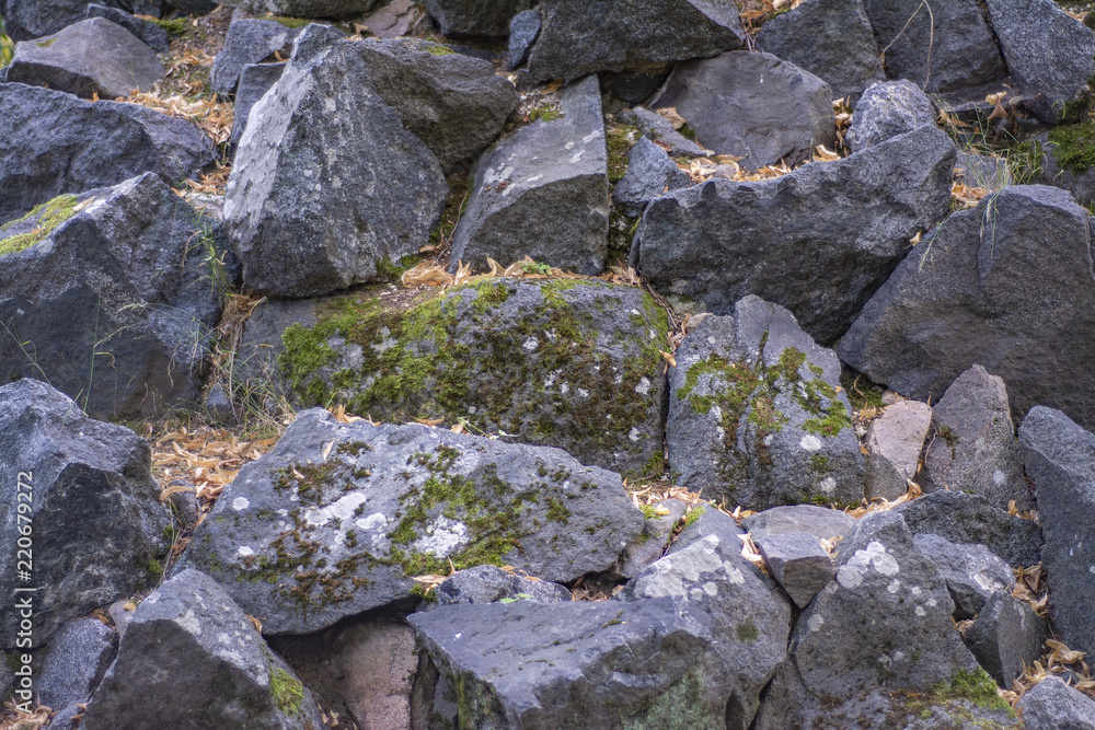 A wall of stone blocks overgrown with moss