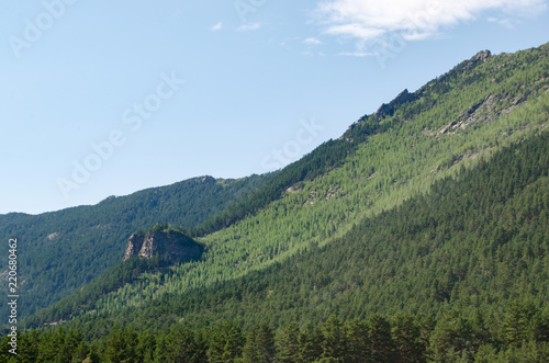Mountain landscape, mountains covered with pine forest. © freeman83