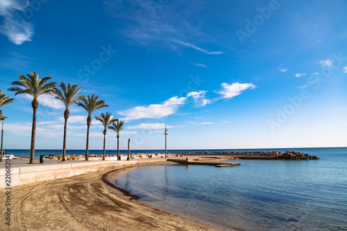 Sunny beach, promenade with palm trees in Torrevieja, Spain photo