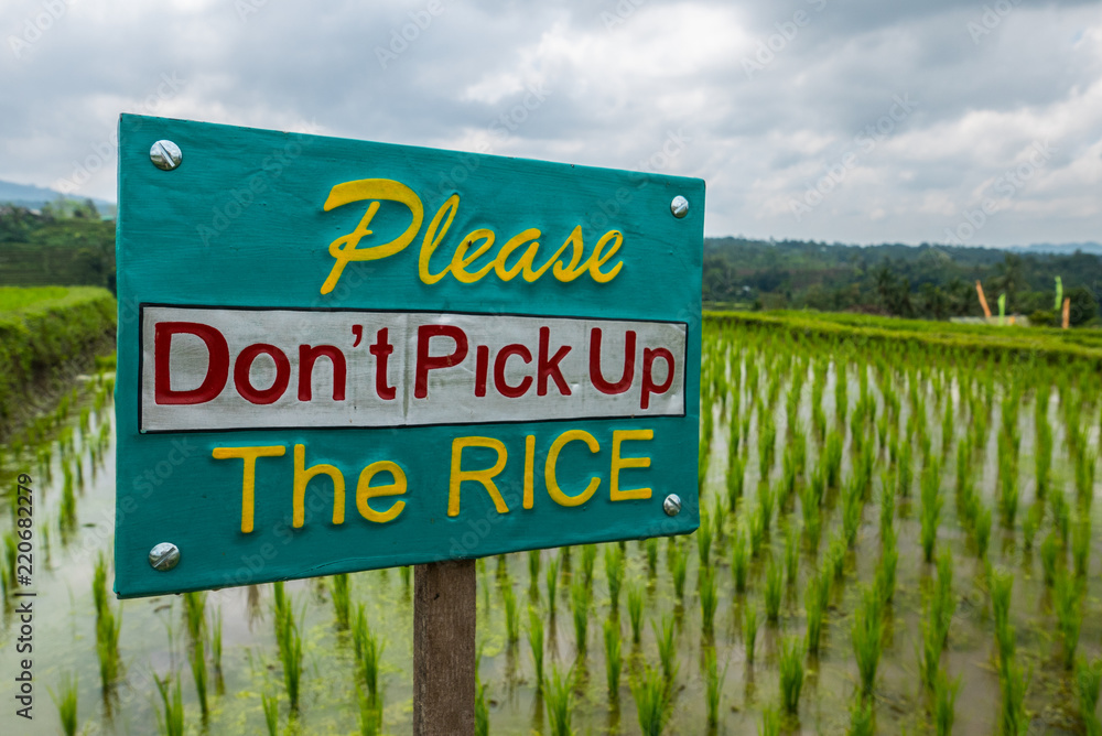 Fototapeta premium The sign protecting rice in rice fields