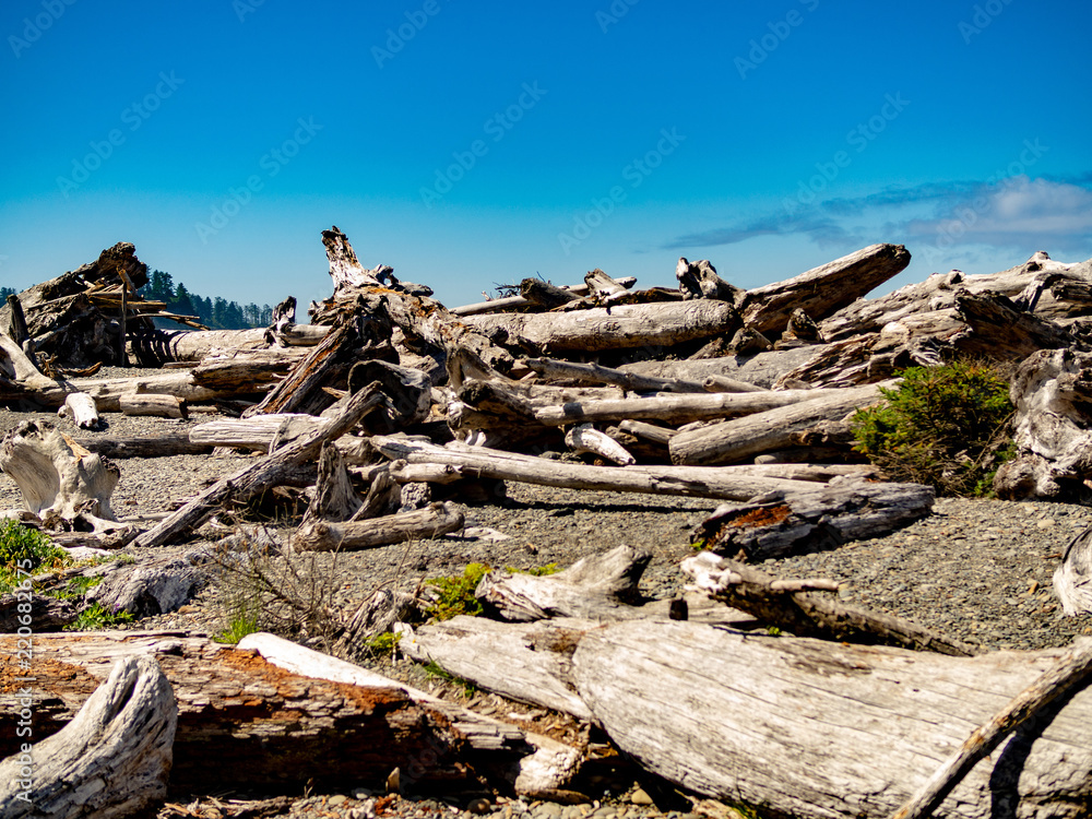 Rialto Beach Campground Olympic National Park Washington – Hi resolution photograph of beautiful Rialto Beach in the Olympic National Park Rialto Beach Campground Olympic National Park Washington – Hi resolution photograph of beautiful Rialto Beach in the Olympic National Park