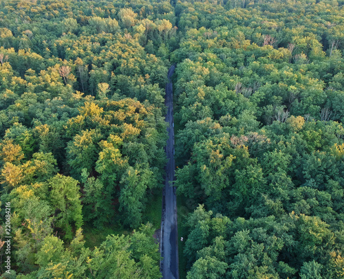 Aerial view on asphalt road hidden in green forest.