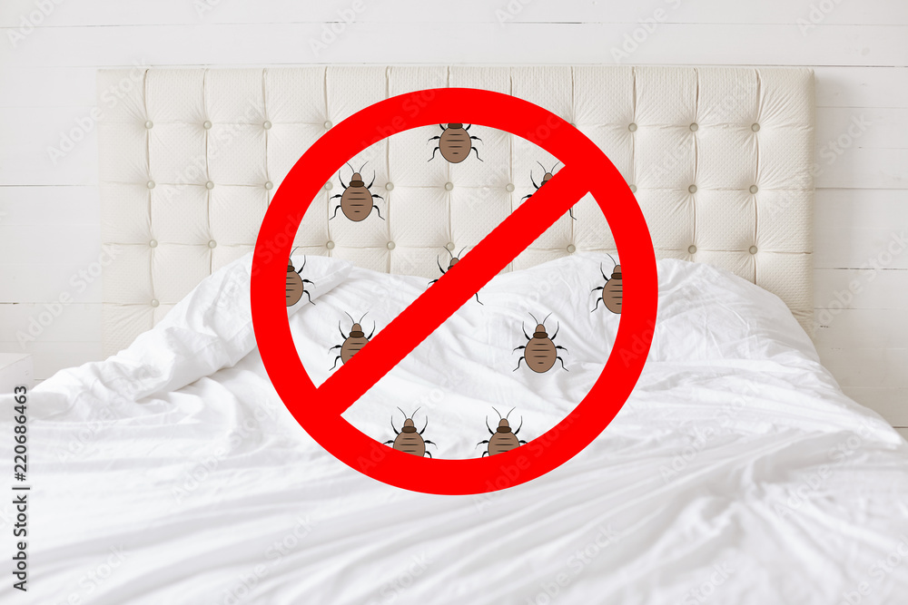 Vivid Can You Be Evicted For Bed Bugs Capture in HD Vivid Can You Be Evicted For Bed Bugs Capture in HD