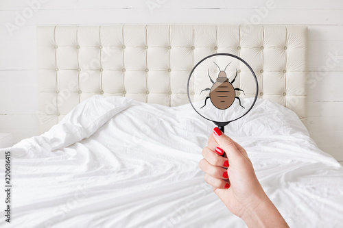 Its dirty there! Lens with bug against bed. Insanitation in bedroom. Sign of uncleanness. Insects are everywhere. Unwashed bedclothes. Detection of bad bugs