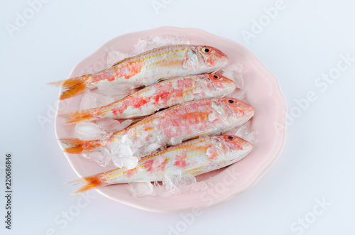 Red mullet on plate on white background.