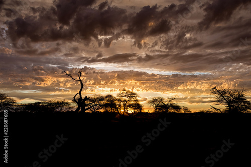 African Sunset