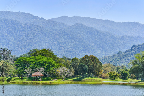 Beautiful Taiping Lake Gardens or Taman Tasik  Malaysia