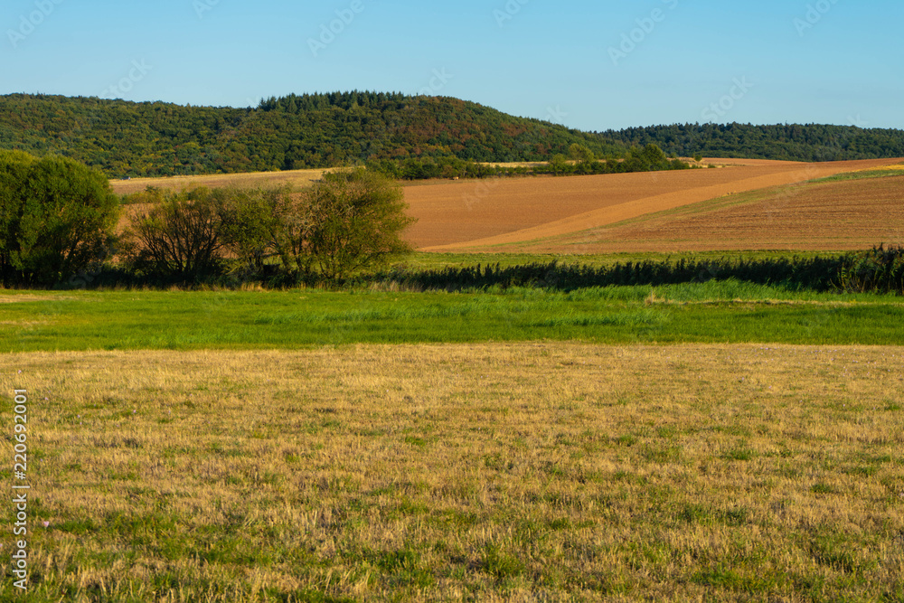 Felder nach der Ernte im Sommer, Pfalz, Rheinland-Pfalz, Deutschland