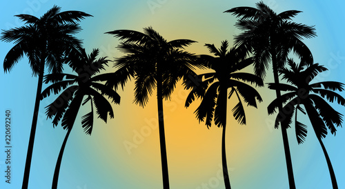 Tropical background, palm tree, sunset