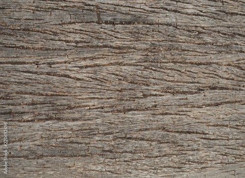 Wood texture with natural patterns background