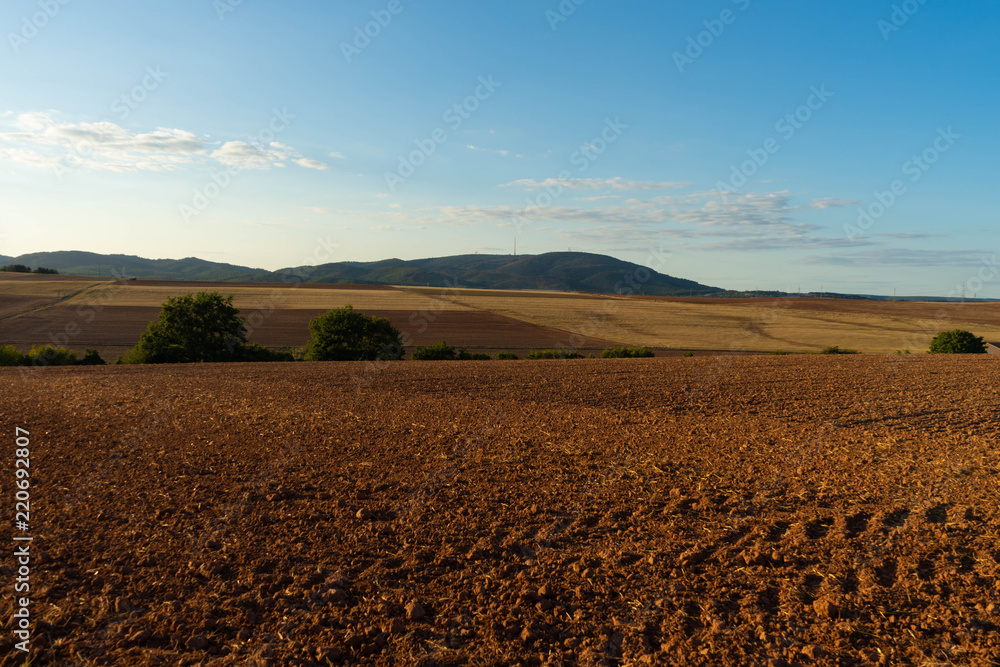 Felder nach der Ernte im Sommer, Blick zum Donnersberg, Pfalz, Rheinland-Pfalz, Deutschland