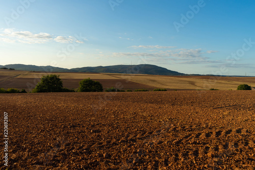 Felder nach der Ernte im Sommer, Blick zum Donnersberg, Pfalz, Rheinland-Pfalz, Deutschland