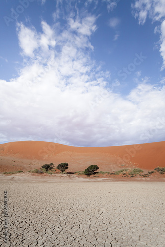 Dry Lake Namib Desert 