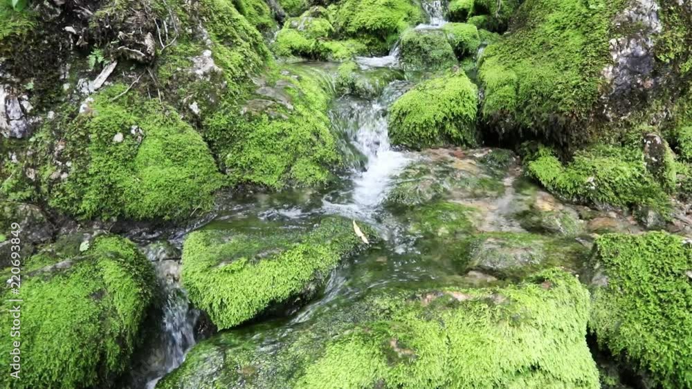 Beautiful mossy rocks with stream in slow motion. Beautiful mossy rocks with stream in slow motion.