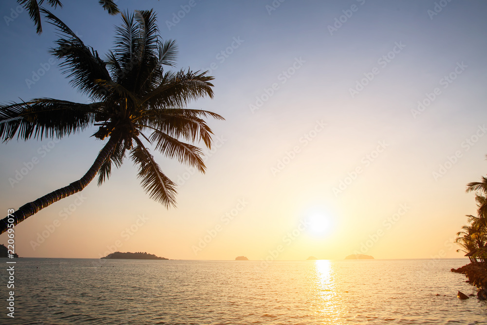 Sunset on the tropical coast with silhouettes of palm tree over water.