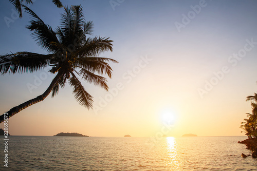 Sunset on the tropical coast with silhouettes of palm tree over water.