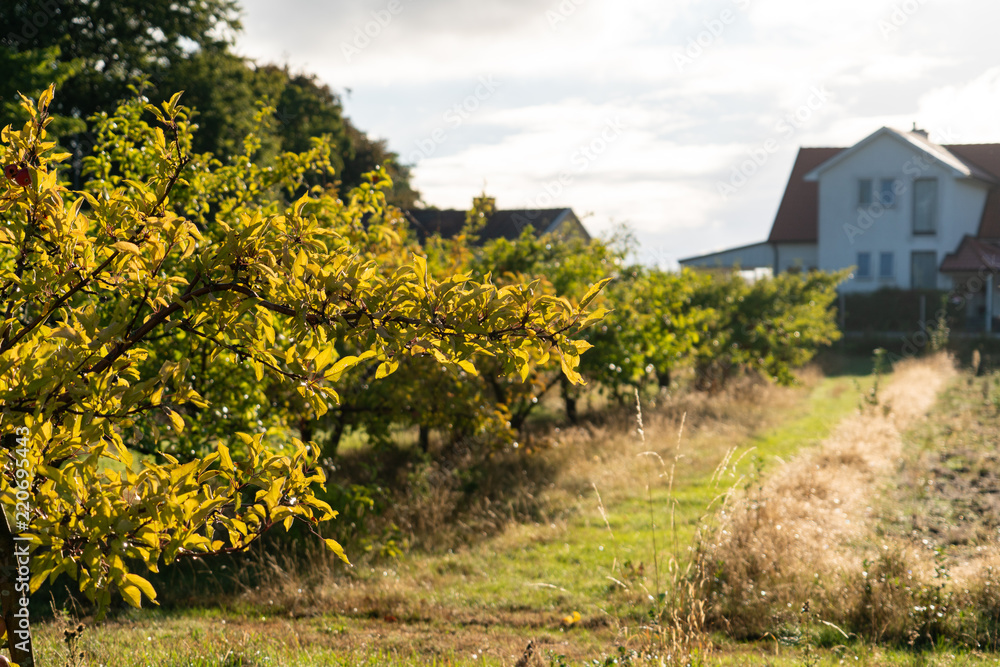 Organic farm. Ecological agriculture Organic farm. Ecological agriculture