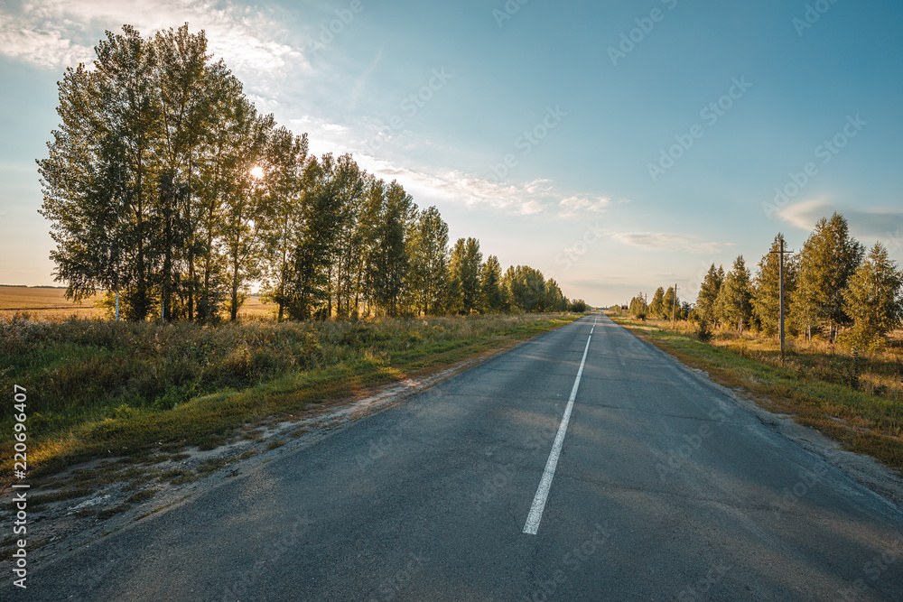 Fototapeta premium Long straight road highway going to the horizon