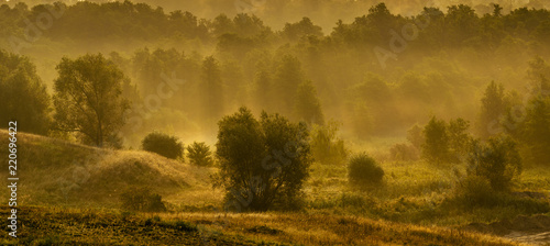 autumn forest in the valley in the morning fog during the sunrise