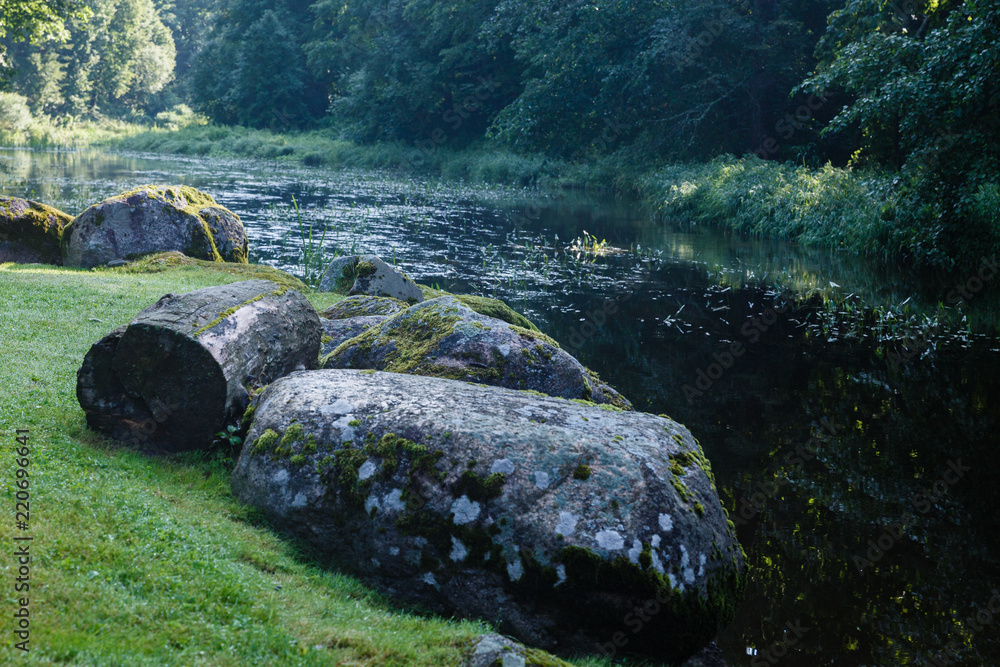 a green, natural landscape with a slowly flowing river with many water plants in it, with a riverbank with large stones and a wooden block in the foreground; tree and grass reflection in the water a green, natural landscape with a slowly flowing river with many water plants in it, with a riverbank with large stones and a wooden block in the foreground; tree and grass reflection in the water