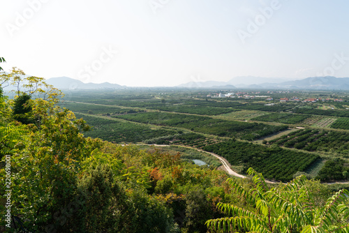 Top view of agricultural land. Valley of fields and fruit farms with irrigation system