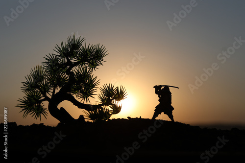 Fighter with a sword silhouette a sky ninja. Samurai on top of mountain with tree on sunset background.