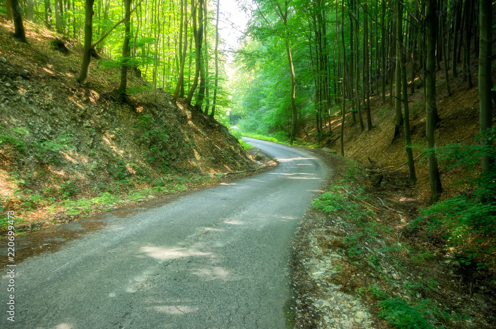 Obraz premium way to nature