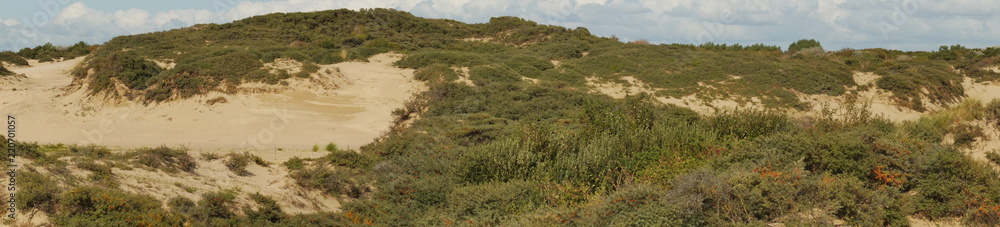 Sand Dünen Sand Dünen