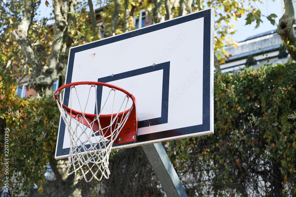 basket basket
