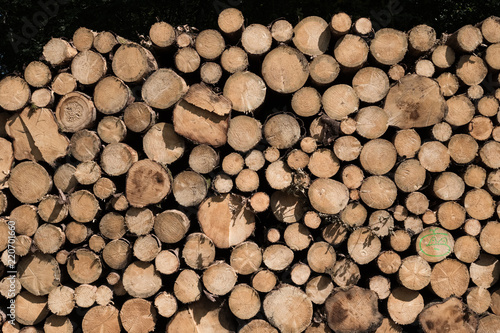 stock de bois tronc arbre