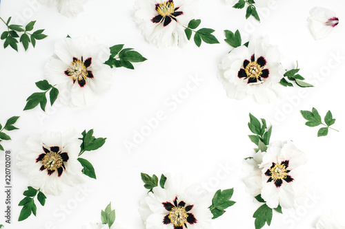 Frame of white peony flowers on white background. Flat lay, top view mock up.